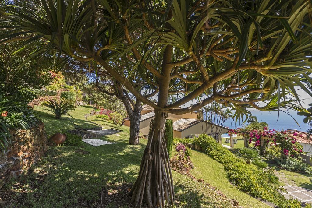 Vila Eucalipto By An Island Apart Funchal  Exterior photo